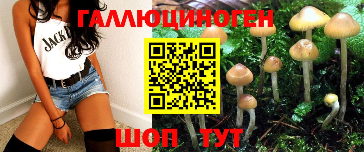 Псилоцибиновые грибы Psilocybe Клинцы