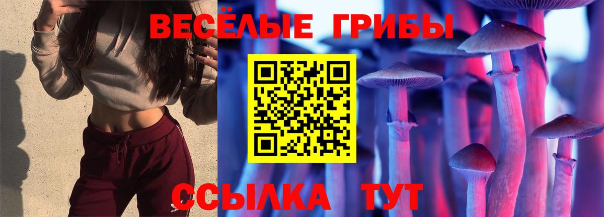 купить наркотик  Вход с VPN  Клинцы  Галлюциногенные грибы мухоморы  Галлюциногенные грибы Psilocybe 
